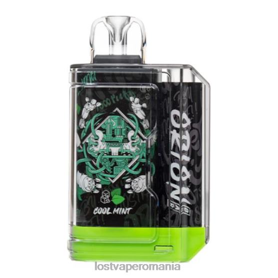 menta rece