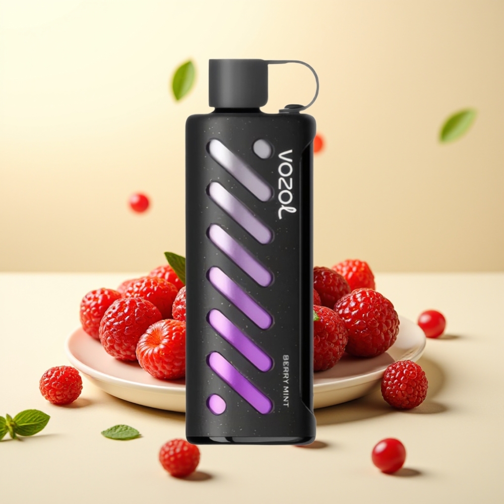 VOZOL Gear Shisha 25000 Puffs Berry Mint Dual Mesh S.i.L.C Tech VOZOL Gear Shisha 25000 Puffs Berry Mint Dual Mesh S.i.L.C Tech