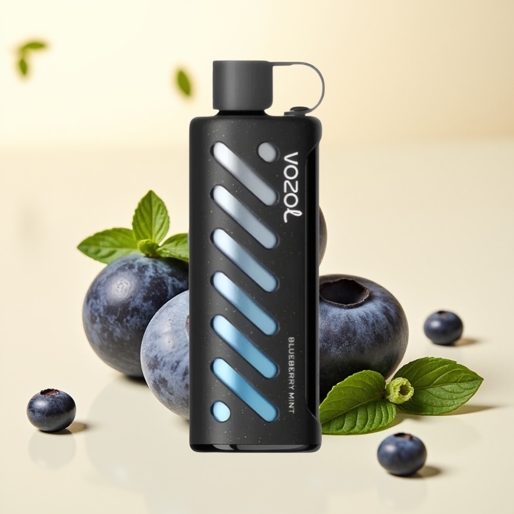VOZOL Gear Shisha 25000 Pufuri Dual Mesh Afine Mentă S.i.L.C Tech 1000mAh