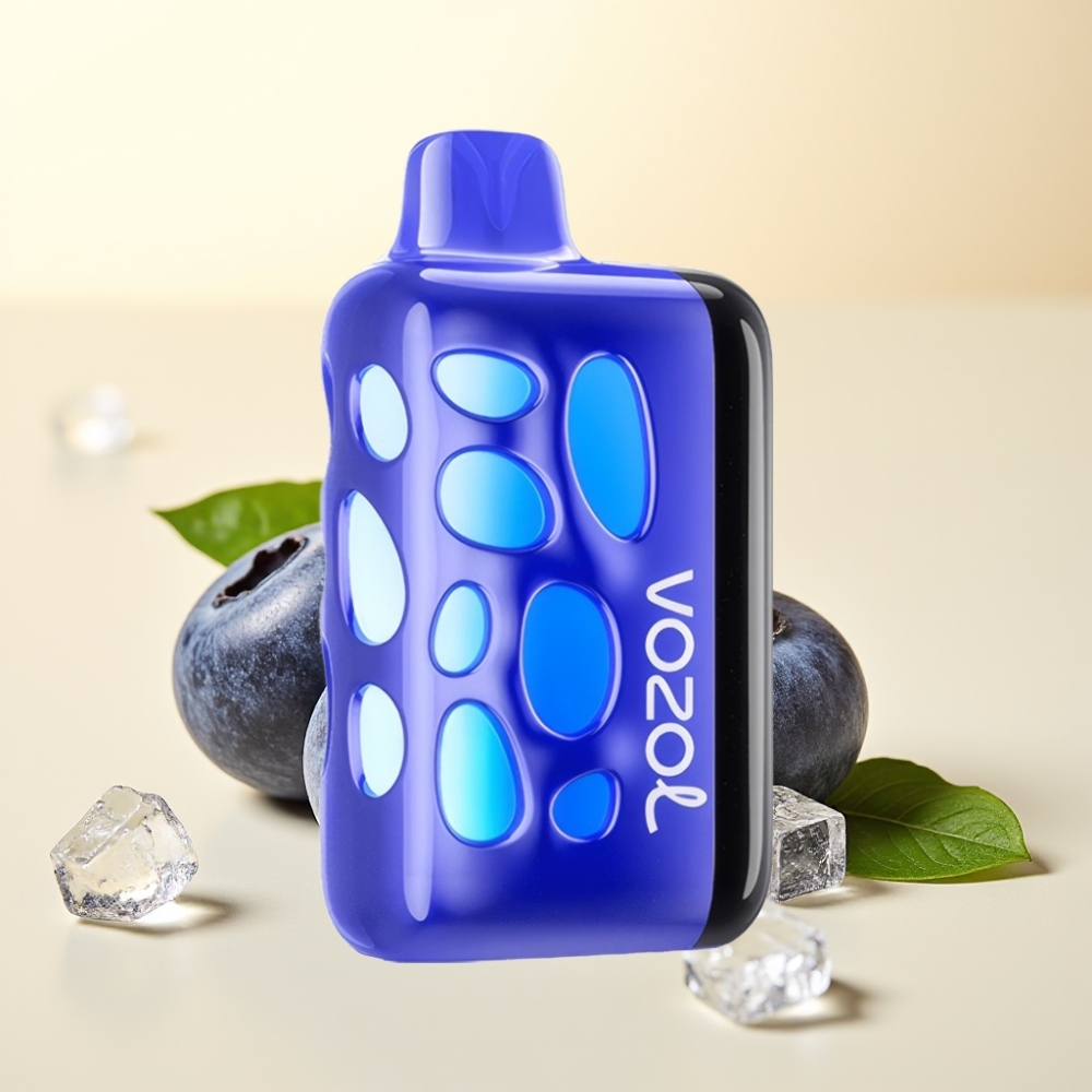 VOZOL RAVE 40000 Disposable Vape Afine Gheață cu Glow Design 270° și Battery 1000mAh VOZOL RAVE 40000 Disposable Vape Afine Gheață cu Glow Design 270° și Battery 1000mAh