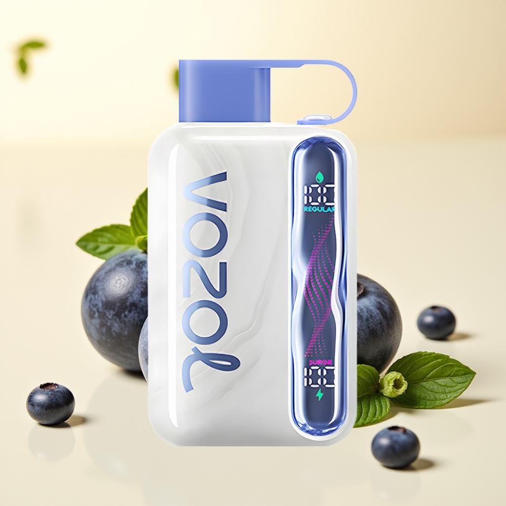 VOZOL STAR 40000 Pufări Disposable Vape Afină Mentă 1000mAh Type-C 20/50mg/ml VOZOL STAR 40000 Pufări Disposable Vape Afină Mentă 1000mAh Type-C 20/50mg/ml