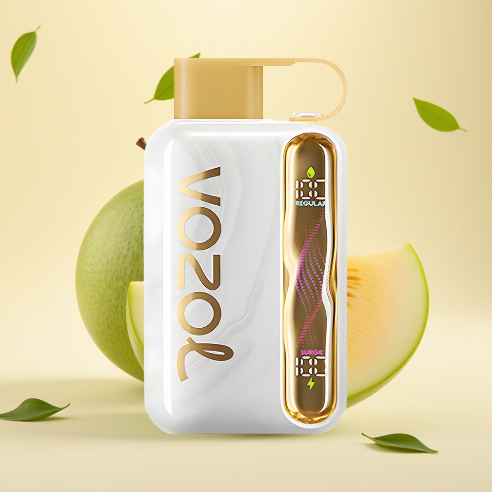VOZOL STAR 40000 Puffs Disposable Vape Guma de Pepene Port Type-C 1000mAh
