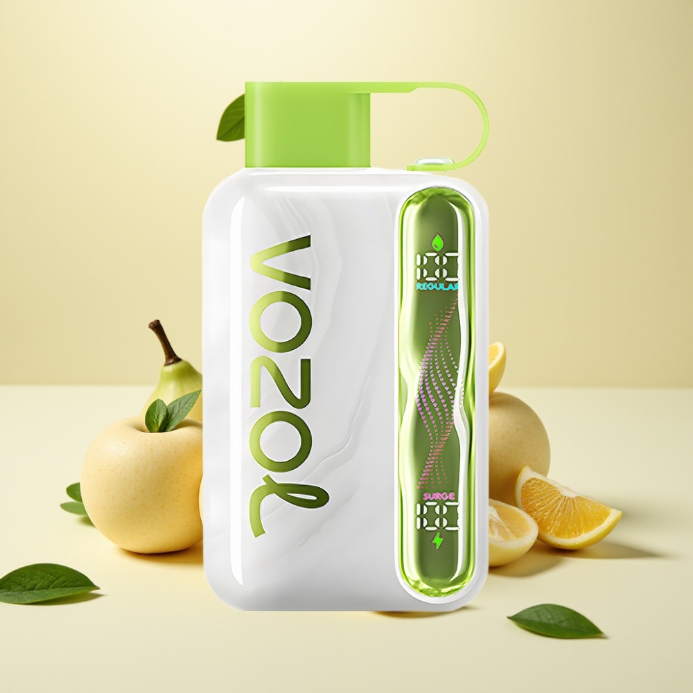VOZOL STAR 40000 Puffs Disposable Vape Mentă Răcoritoare 1000mAh Type-C