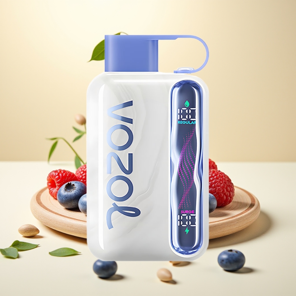 VOZOL STAR 40000 Pufi Disposable Vape 1000mAh Type-C Afine Albastre Razz Gheata