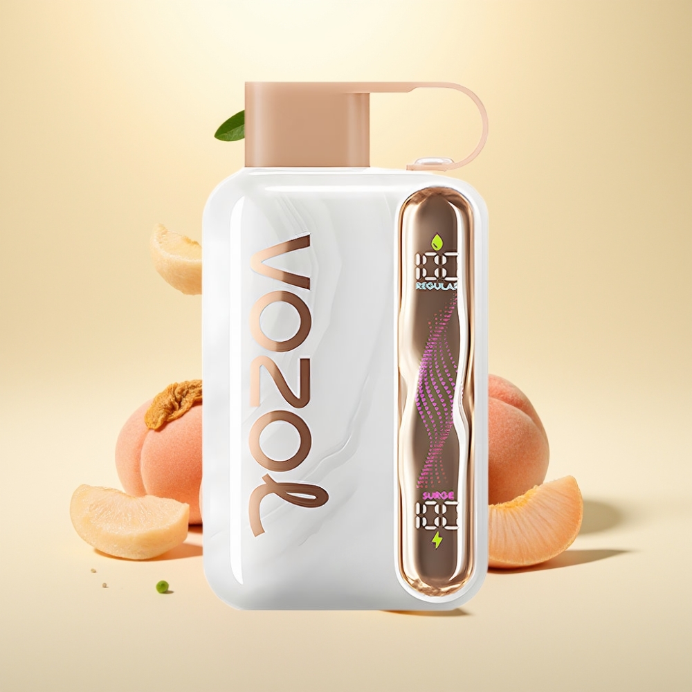 VOZOL STAR 40000 Pufuri Vape Gheata de Piersica 1000mAh Type-C 20/50mg/ml
