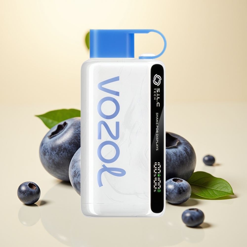 VOZOL STAR 9000/12000 Disposable Vape Furtună de Afine cu Încărcare Rapidă 30%