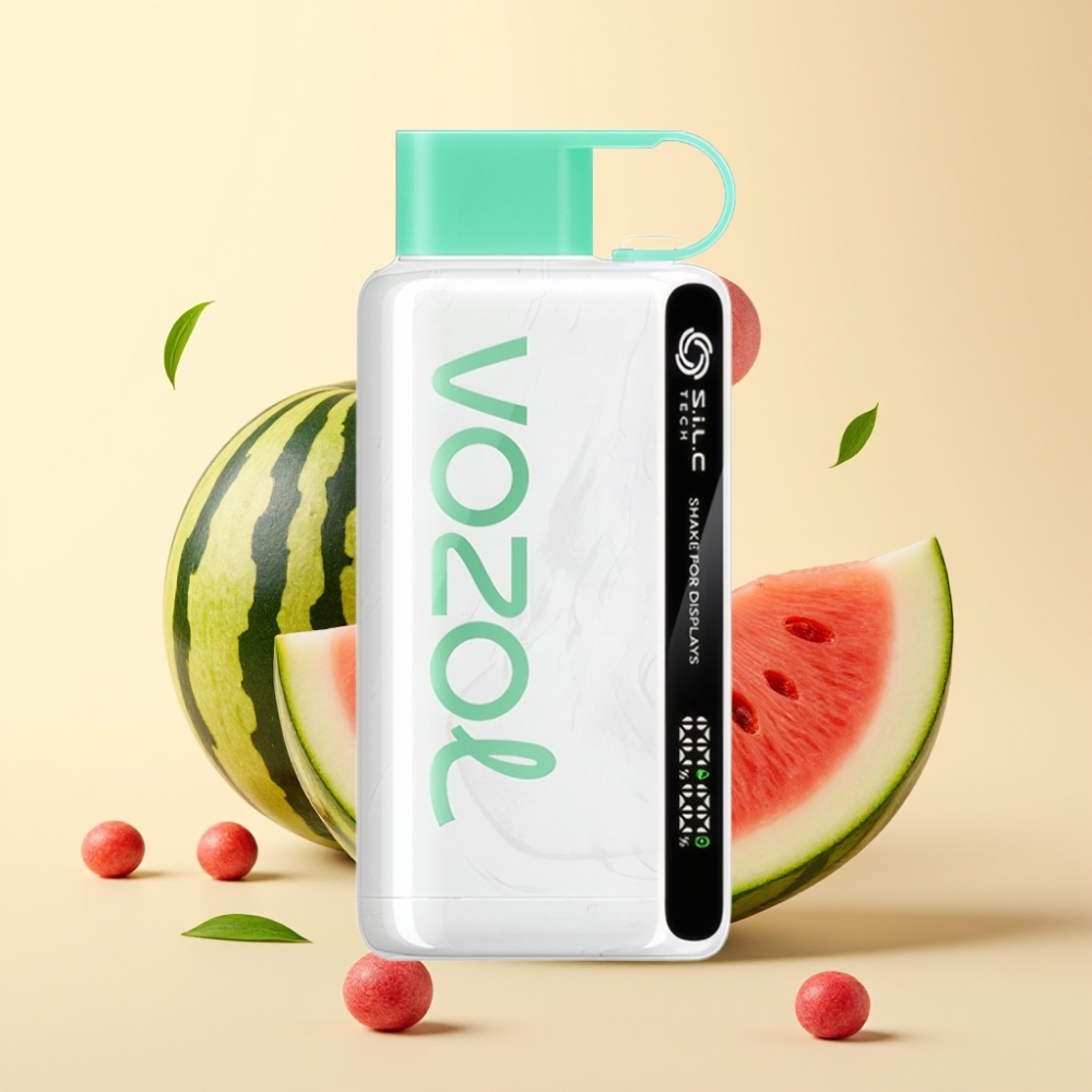 VOZOL STAR 9000/12000 Disposable Vape Pepene Bubble Gum cu Încărcare Rapidă 30% și 650mAh