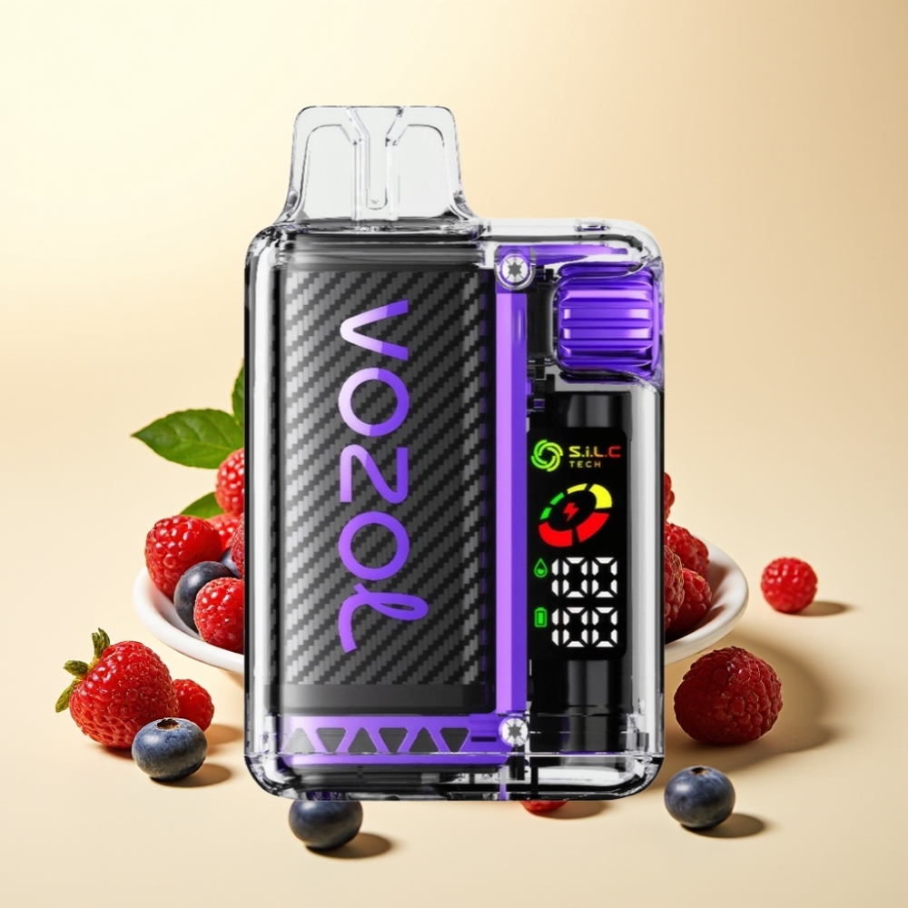 VOZOL Vista 20000 Puffs Reîncărcabil OLED 2% Nicotină Coil Dual Mesh Arome Mixte de Fructe de Pădure
