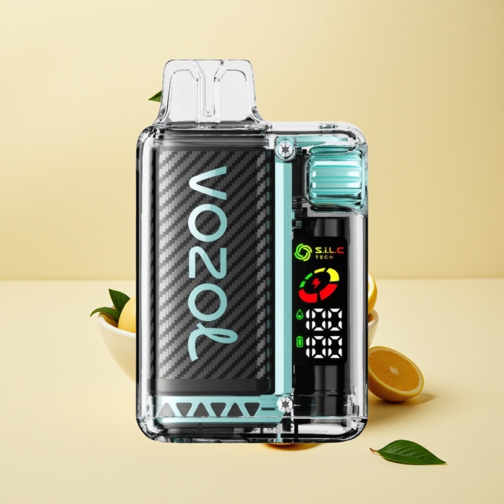 VOZOL Vista 20000 Puffs Rechargeable OLED Miami Menta 650mAh Dual Mesh Coil 2%